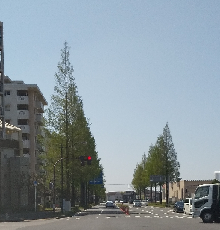 Meta-Sekoia